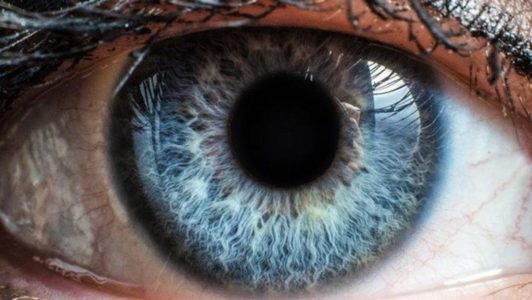 5 Factores que predisponen a la ceguera